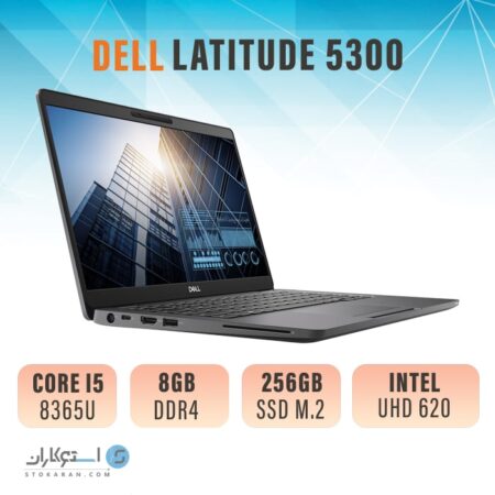 DELL Latitude 5300